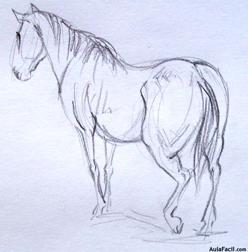 Dibujar caballos77