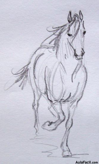 Dibujar caballos80