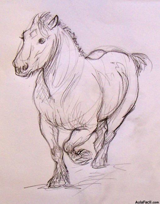 Dibujar caballos93