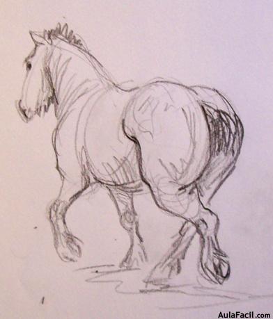 Dibujar caballos100