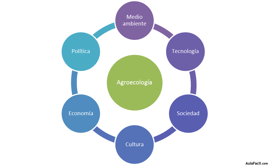 Dimensiones de la agroecología