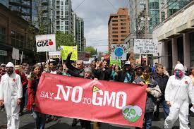 No GMO