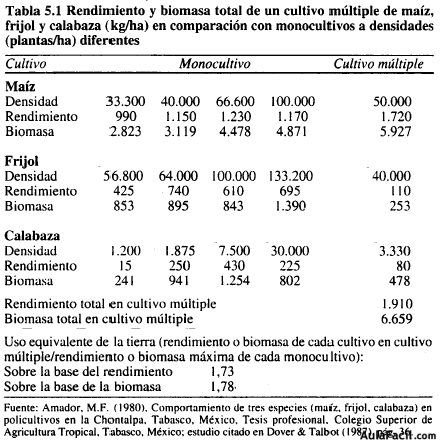 Rendimiento policultivo