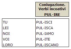 Imperativo dei verbi incoativi