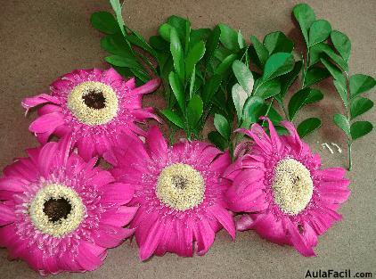 Gerberas