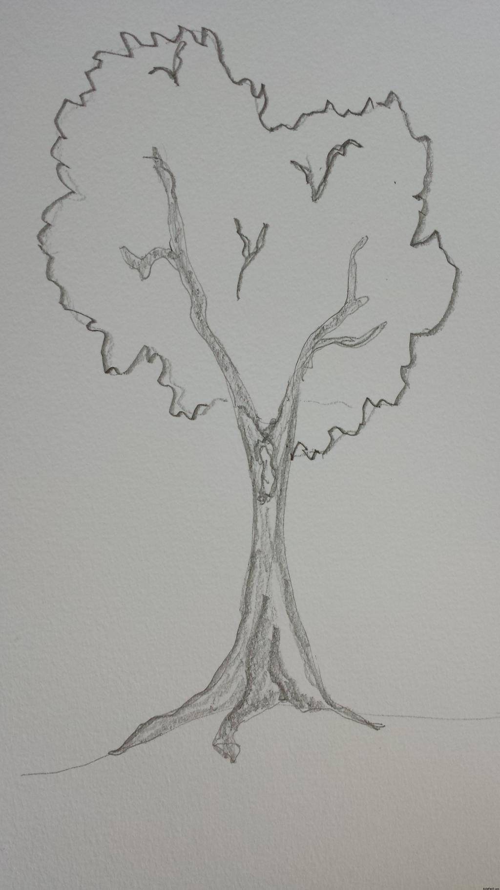 uves árbol 3