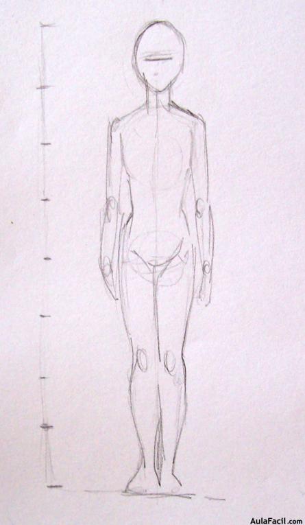 🥇▷【 Introducción - Dibujo Anatomía 】