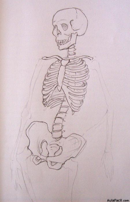 Dibujo Anatomía