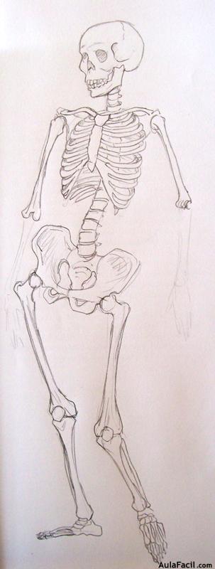 Dibujo Anatomía