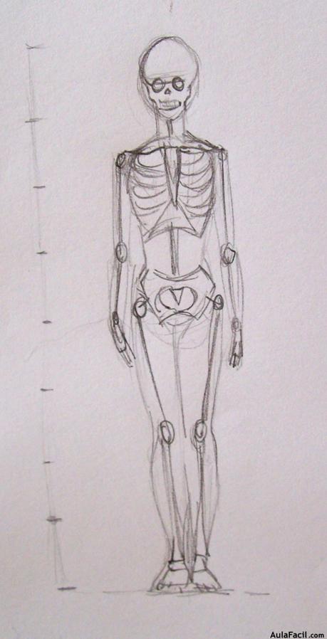 Dibujo Anatomía