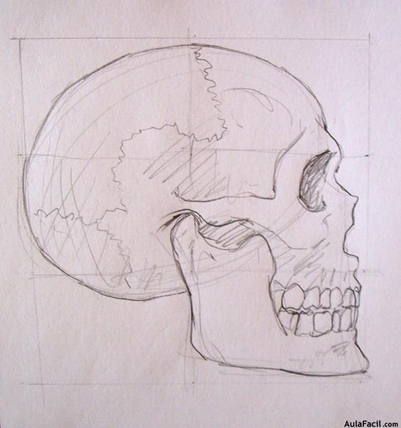 Dibujo Anatomía