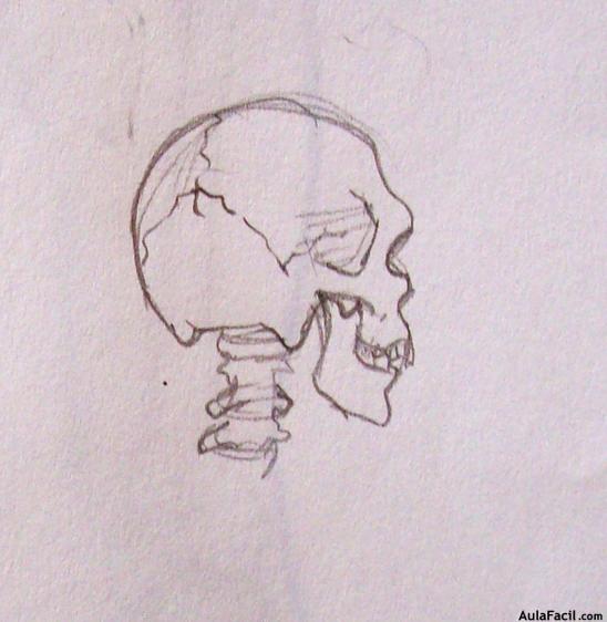 Dibujo Anatomía