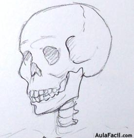 🥇▷【 El esqueleto I - Dibujo Anatomía 】