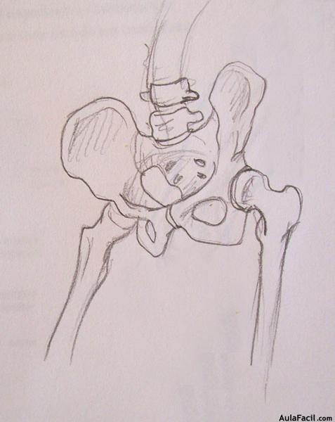 Dibujo Anatomía