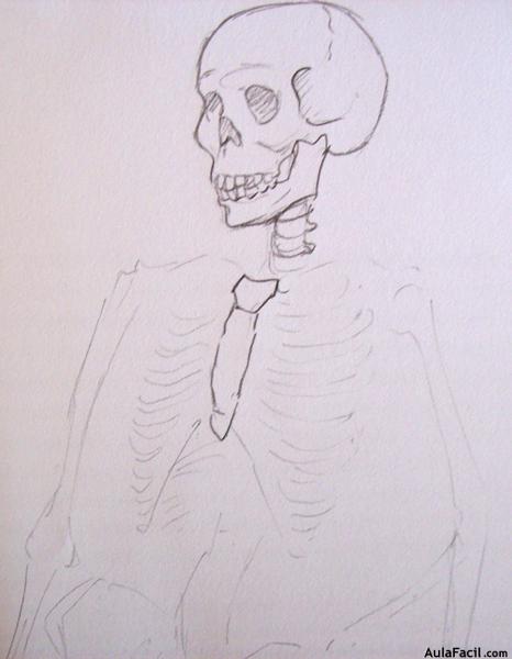 Dibujo Anatomía