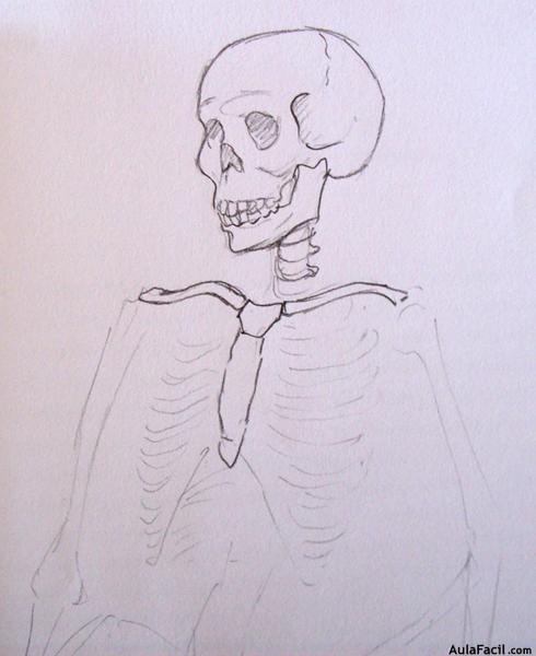 Dibujo Anatomía