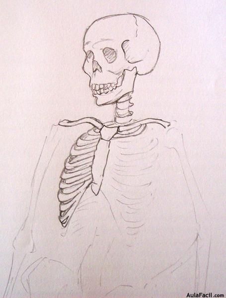 Dibujo Anatomía