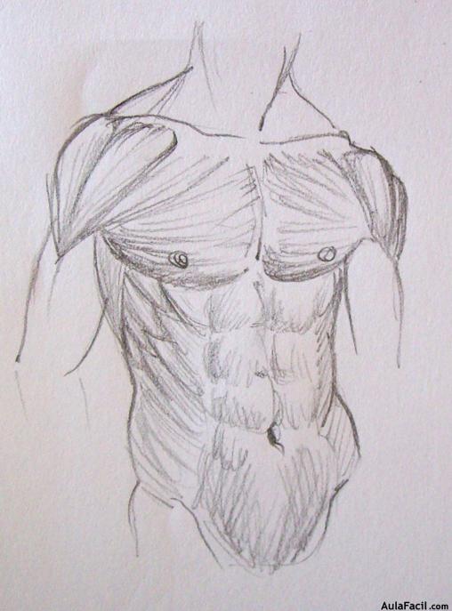 Dibujo Anatomía