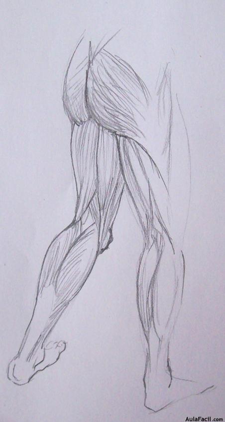 Dibujo Anatomía