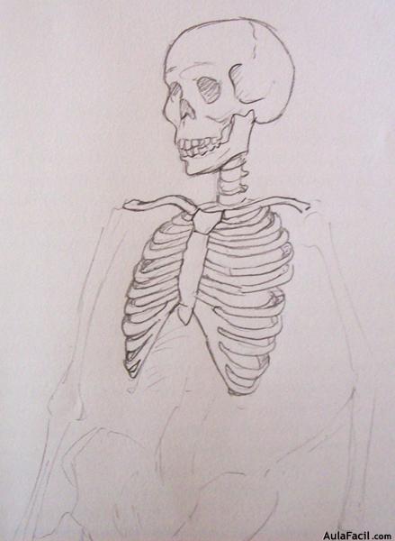 Dibujo Anatomía