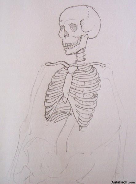 Dibujo Anatomía