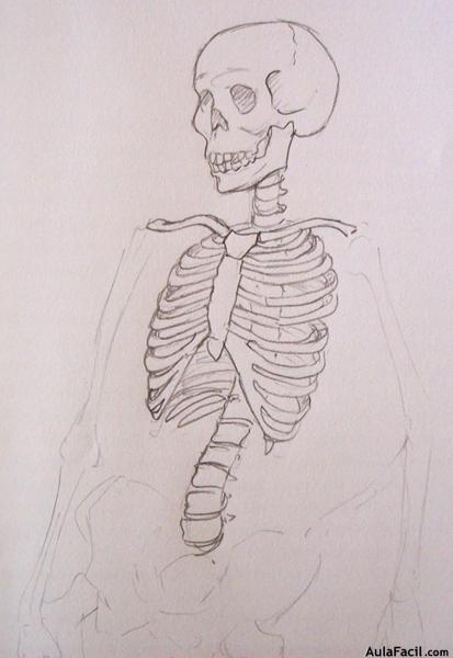 Dibujo Anatomía