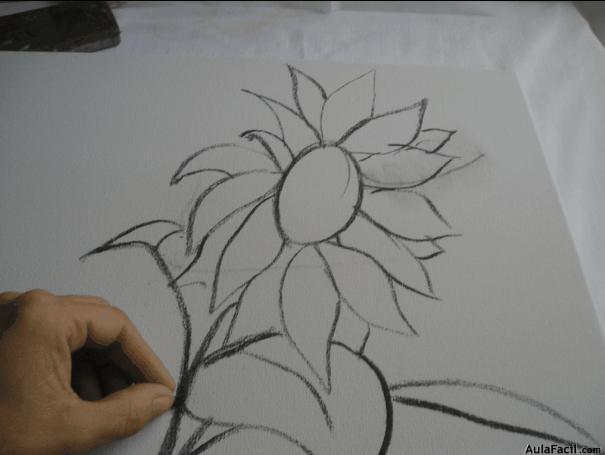 girasol