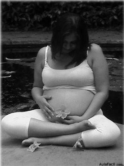 Embarazo. Salud Aulafacil.com