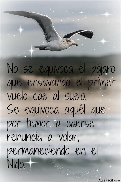 Volar alto