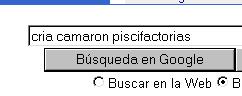 google búsqueda