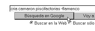 google búsqueda