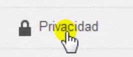 Privacidad en nuestra cuenta