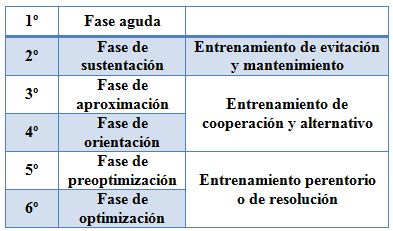 Fases de recuperación