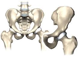 Estructura cadera