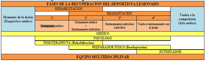 Tabla de las fases de recuperación del deportista lesionado