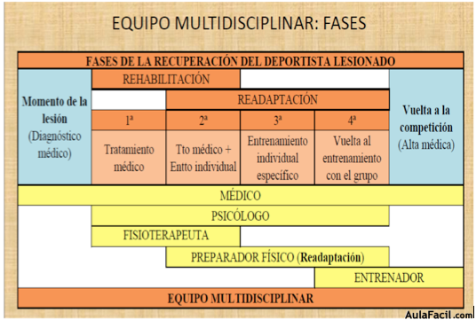 Equipo multidisciplinar: fases