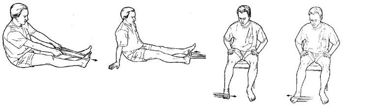 Fortalecimiento de articulación