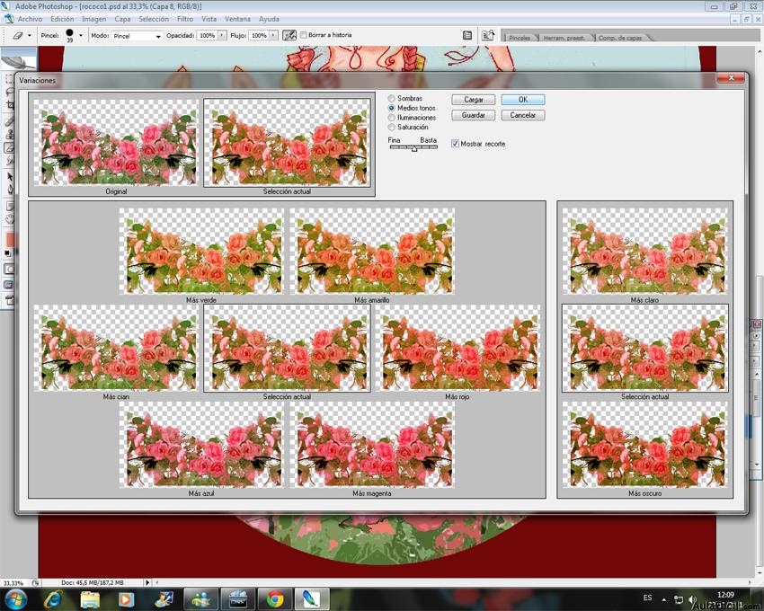 Colorear co Photoshop - Imagen, Ajustes, variaciones.