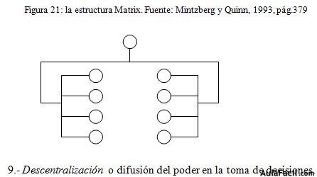 estructura matrix