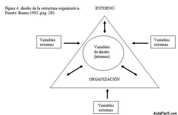 estructura organizativa