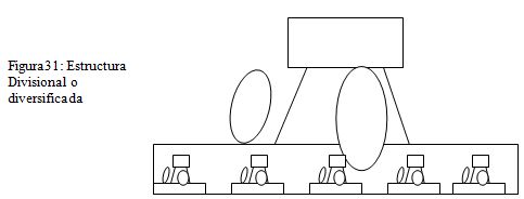 estructura 