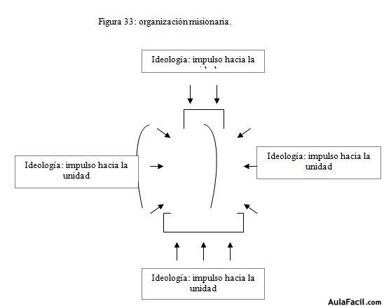 organización 