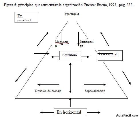 principios que estructuran