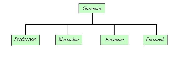 Presentación básica de un organigrama.