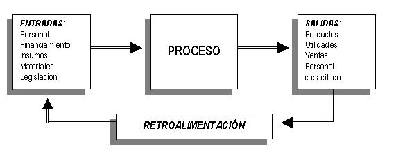 El enfoque de sistemas en Administración