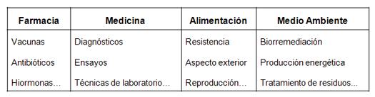 medio ambiente