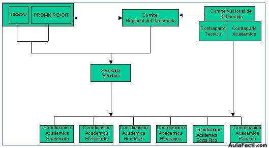 Estructura del Proyecto Diplomado Regional en Microempresa