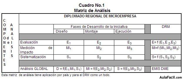 matriz de analisis