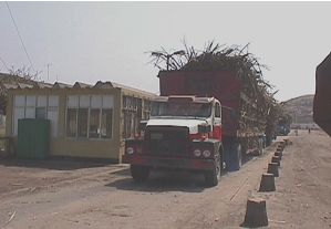 transporte a la planta