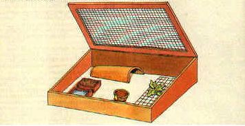 caja caracol